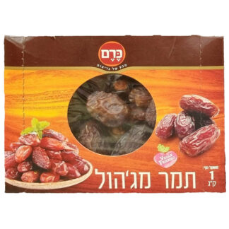 תמר מג'הול