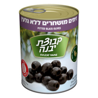 זיתים מושחרים נטולי גלעין