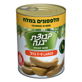 מלפפונים במלח גדול