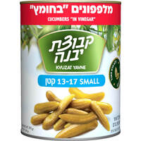 מלפפונים בחומץ קטן