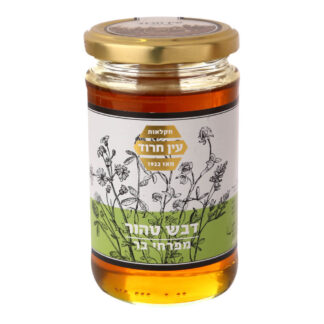 דבש בצנצנת