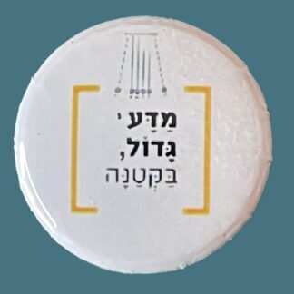 מגנט לוגו פיזיקה